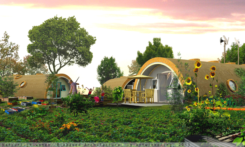 project illustration